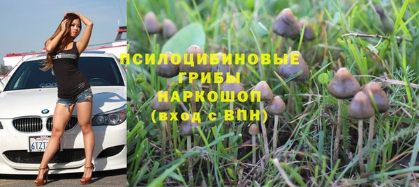 COCAINE Заводоуковск