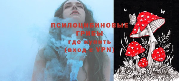 амф Корсаков