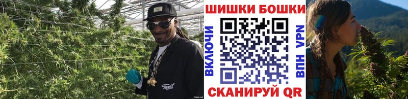 Бошки марихуана VHQ  продажа наркотиков  Чудово 